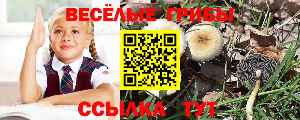 Псилоцибиновые грибы Magic Shrooms Мурманск