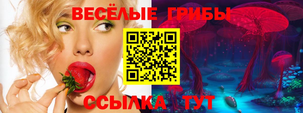 Мурманск  Псилоцибиновые грибы GOLDEN TEACHER  Вход с VPN  Галлюциногенные грибы мицелий 